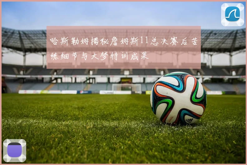 哈斯勒姆揭秘詹姆斯11总决赛后苦练细节与大梦特训成果