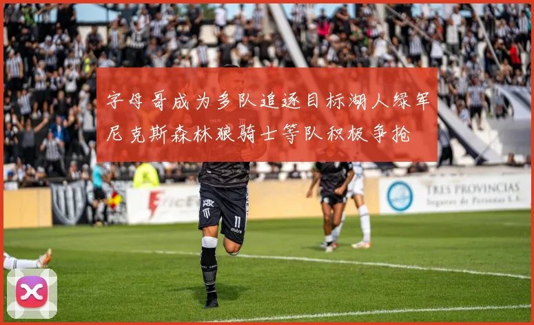 字母哥成为多队追逐目标湖人绿军尼克斯森林狼骑士等队积极争抢