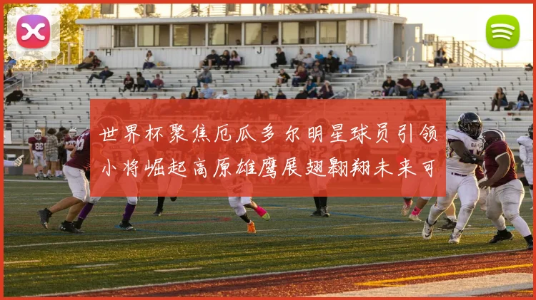 世界杯聚焦厄瓜多尔明星球员引领小将崛起高原雄鹰展翅翱翔未来可期
