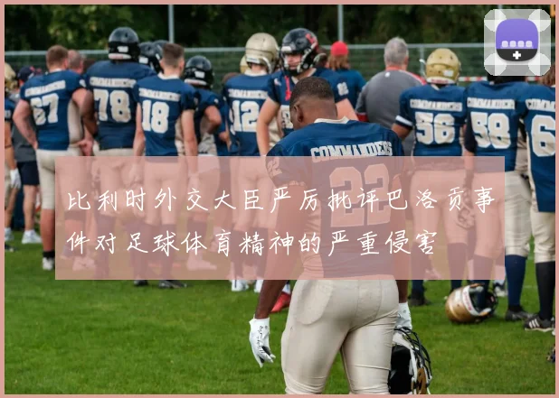 比利时外交大臣严厉批评巴洛贡事件对足球体育精神的严重侵害